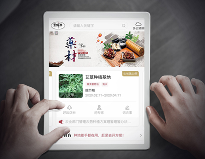 慧種藥中藥材種植業產業平臺